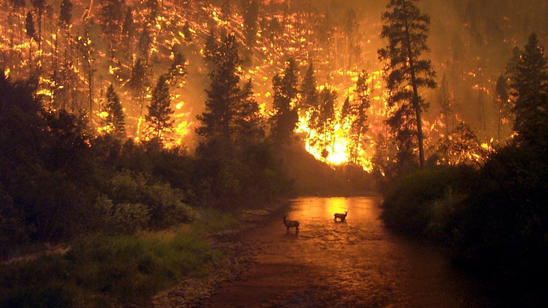 Illustration for article titled Breathtaking and Horrifying Images of Nature's Destructive Power